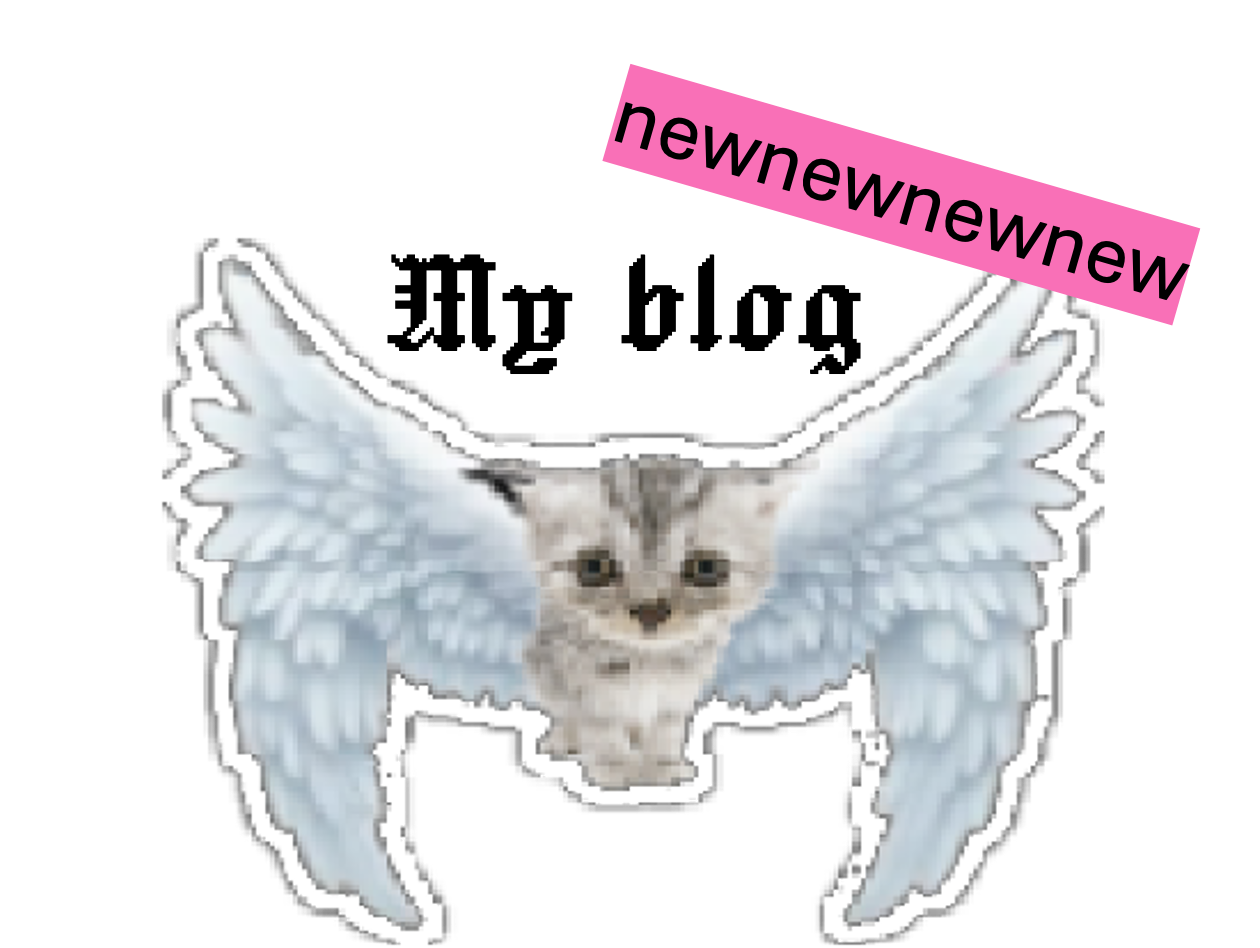 my blog